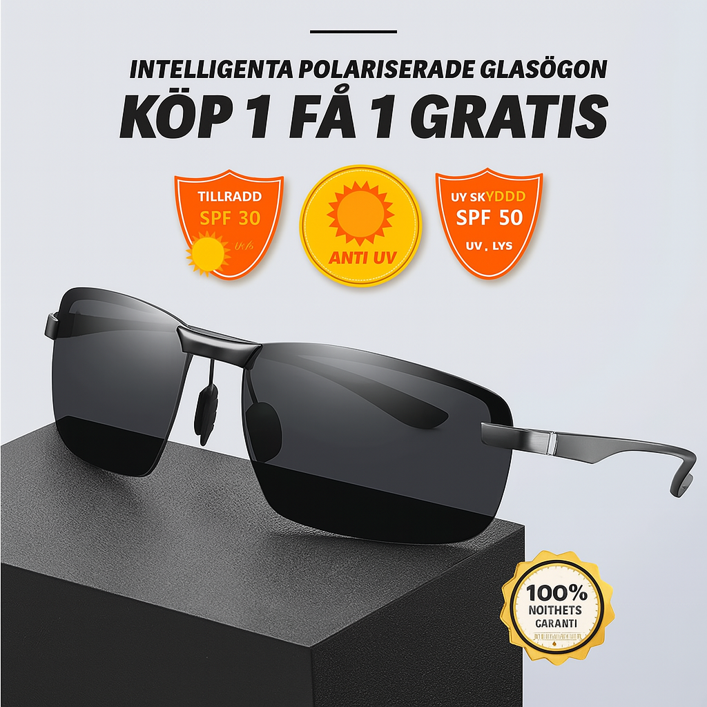 Polariserade Smarta Glasögon